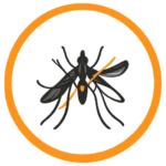 Gelbfieberimpfstelle icon 1